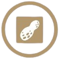 icon indicating the presence of peanuts in this dish